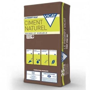 CIMENTO RAPIDO PROMPT VICAT 25 KG